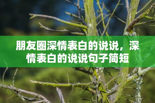朋友圈深情表白的说说，深情表白的说说句子简短