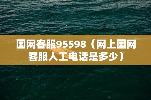 国网客服95598（网上国网客服人工电话是多少）