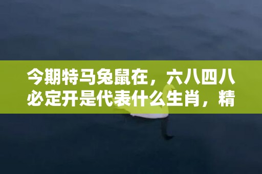 今期特马兔鼠在，六八四八必定开是代表什么生肖，精选落实解释