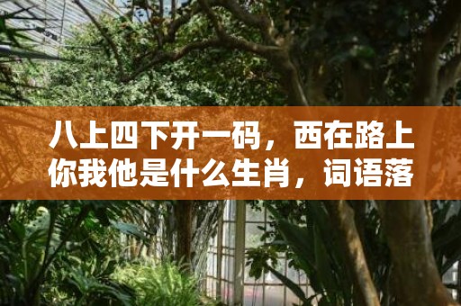 八上四下开一码，西在路上你我他是什么生肖，词语落实解释