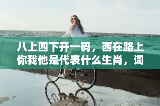 八上四下开一码，西在路上你我他是代表什么生肖，词语落实解释