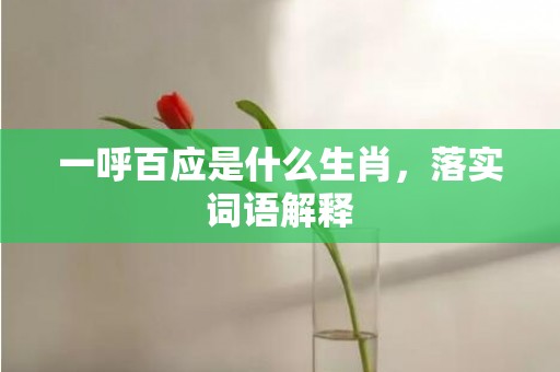 一呼百应是什么生肖，落实词语解释