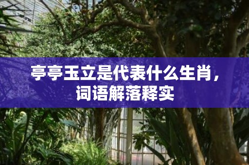 亭亭玉立是代表什么生肖，词语解落释实