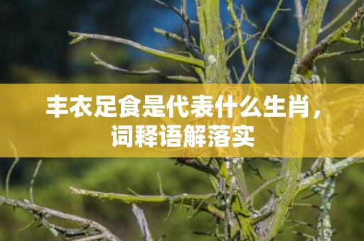 丰衣足食是代表什么生肖，词释语解落实