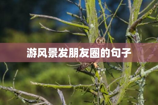 游风景发朋友圈的句子