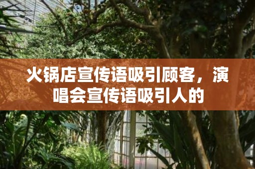火锅店宣传语吸引顾客，演唱会宣传语吸引人的