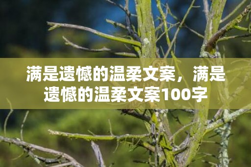 满是遗憾的温柔文案，满是遗憾的温柔文案100字