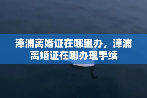 漳浦离婚证在哪里办，漳浦离婚证在哪办理手续