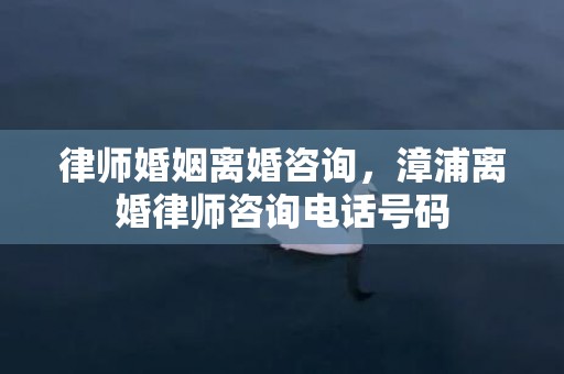 律师婚姻离婚咨询，漳浦离婚律师咨询电话号码