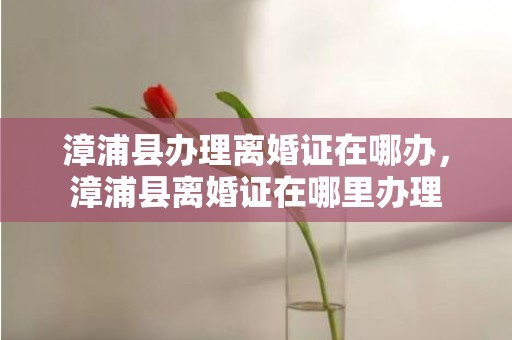 漳浦县办理离婚证在哪办，漳浦县离婚证在哪里办理