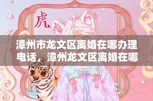 漳州市龙文区离婚在哪办理电话，漳州龙文区离婚在哪里办