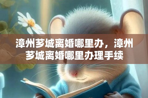 漳州芗城离婚哪里办，漳州芗城离婚哪里办理手续