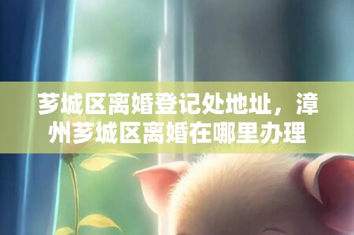 芗城区离婚登记处地址，漳州芗城区离婚在哪里办理