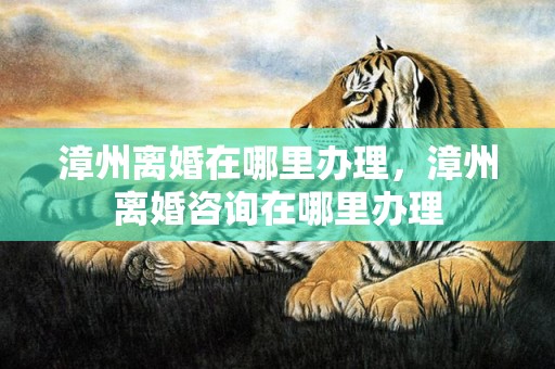 漳州离婚在哪里办理，漳州离婚咨询在哪里办理