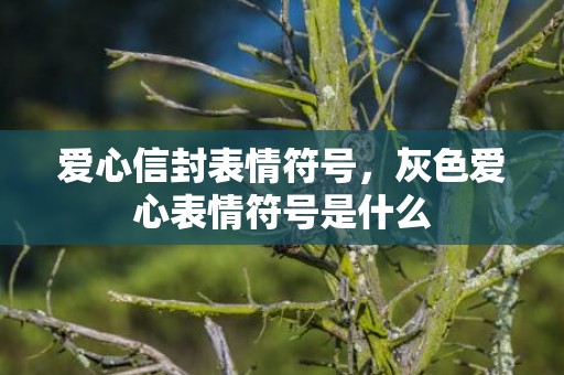 爱心信封表情符号，灰色爱心表情符号是什么