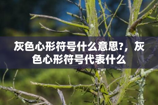 灰色心形符号什么意思?，灰色心形符号代表什么