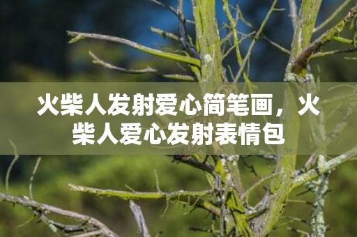 火柴人发射爱心简笔画，火柴人爱心发射表情包