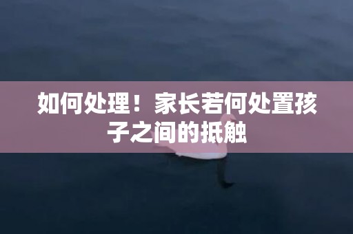 如何处理！家长若何处置孩子之间的抵触