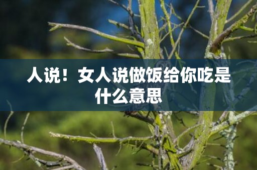人说！女人说做饭给你吃是什么意思