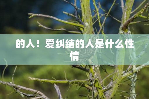 的人！爱纠结的人是什么性情