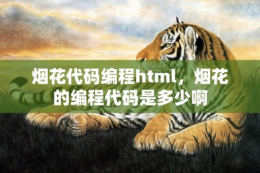 烟花代码编程html，烟花的编程代码是多少啊