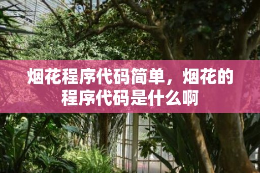 烟花程序代码简单，烟花的程序代码是什么啊