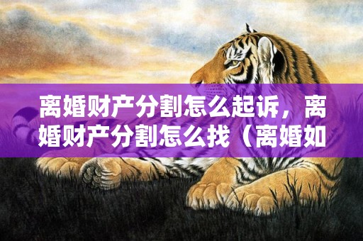 离婚财产分割怎么起诉，离婚财产分割怎么找（离婚如何分财产分割）