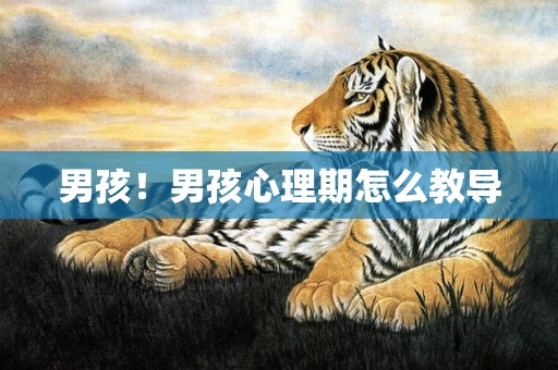 男孩！男孩心理期怎么教导