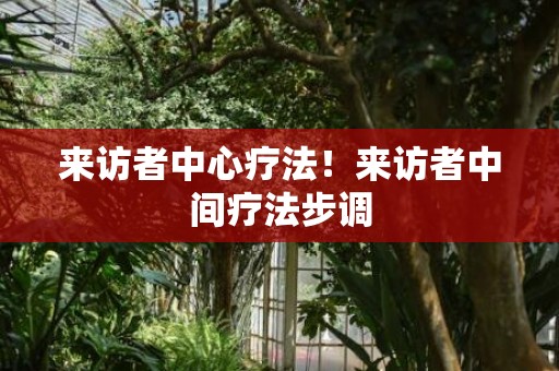 来访者中心疗法！来访者中间疗法步调