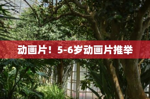 动画片！5-6岁动画片推举