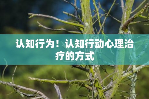 认知行为！认知行动心理治疗的方式