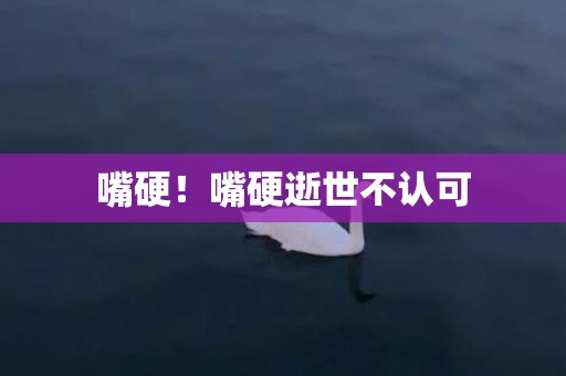 嘴硬！嘴硬逝世不认可