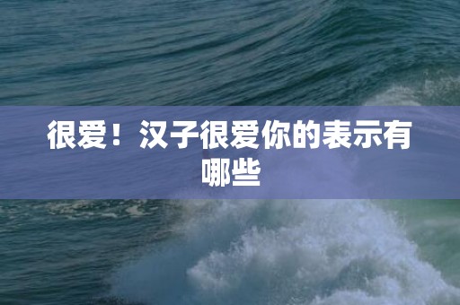 很爱！汉子很爱你的表示有哪些