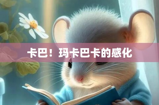 卡巴！玛卡巴卡的感化