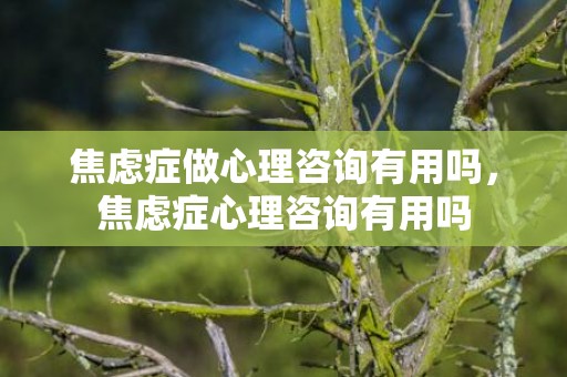 焦虑症做心理咨询有用吗，焦虑症心理咨询有用吗