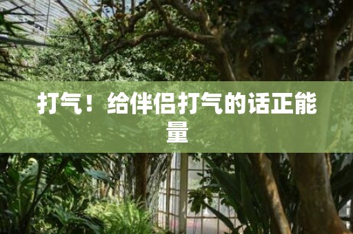 打气！给伴侣打气的话正能量