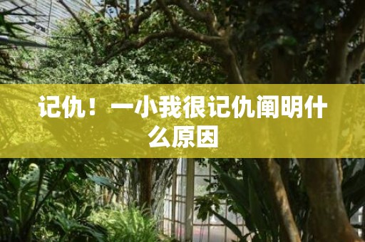 记仇！一小我很记仇阐明什么原因