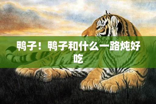 鸭子！鸭子和什么一路炖好吃
