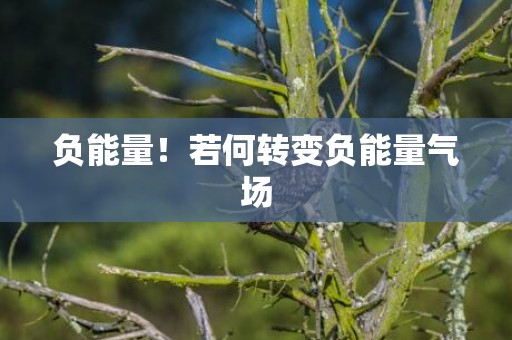 负能量！若何转变负能量气场
