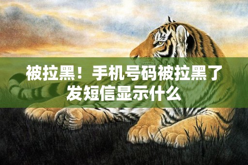 被拉黑！手机号码被拉黑了发短信显示什么