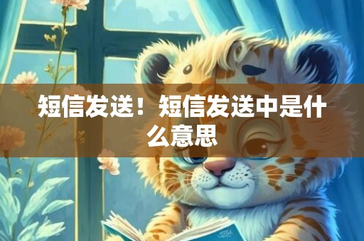 短信发送！短信发送中是什么意思