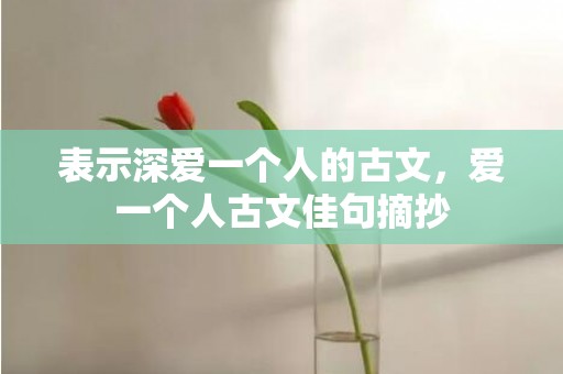 表示深爱一个人的古文，爱一个人古文佳句摘抄