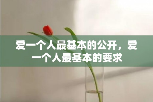 爱一个人最基本的公开，爱一个人最基本的要求