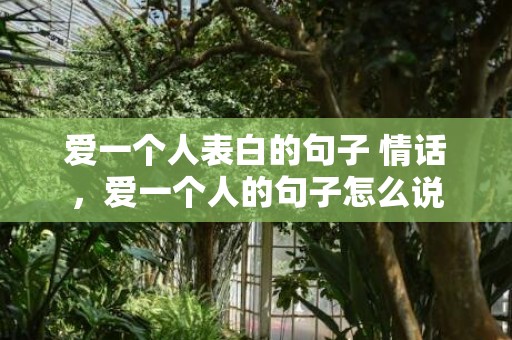 爱一个人表白的句子 情话，爱一个人的句子怎么说