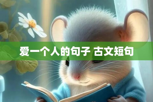 爱一个人的句子 古文短句