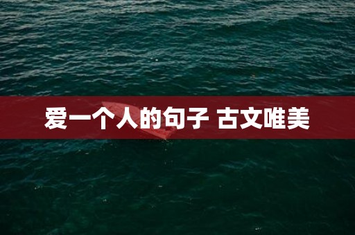 爱一个人的句子 古文唯美