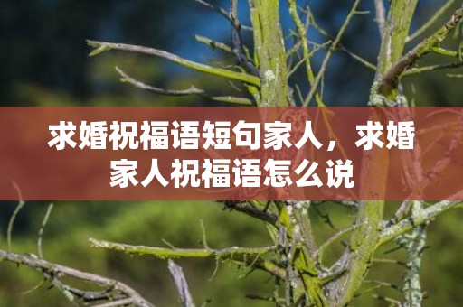 求婚祝福语短句家人，求婚家人祝福语怎么说