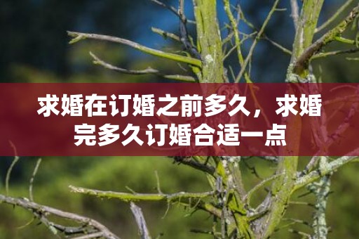求婚在订婚之前多久，求婚完多久订婚合适一点