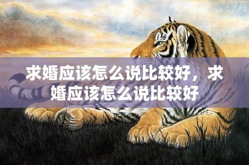 求婚应该怎么说比较好，求婚应该怎么说比较好