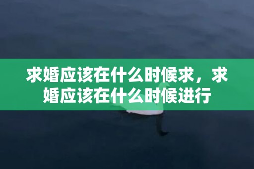 求婚应该在什么时候求，求婚应该在什么时候进行